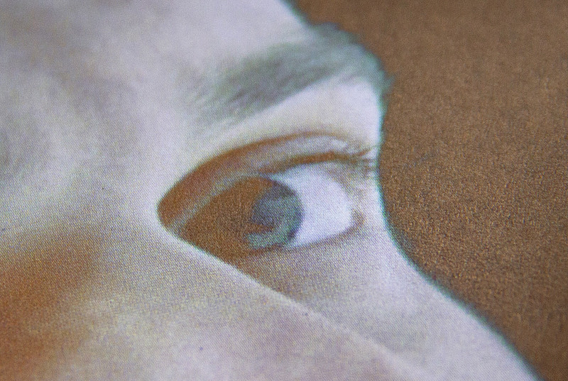 brestbrestbrest-ccnr-4