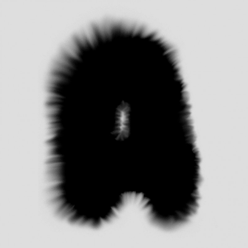 am-cb-en_amour-logo-nb-4