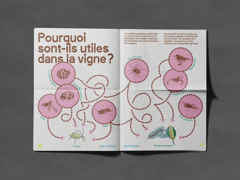 brestbrestbrest-perrier-jouet-ambonnay-5