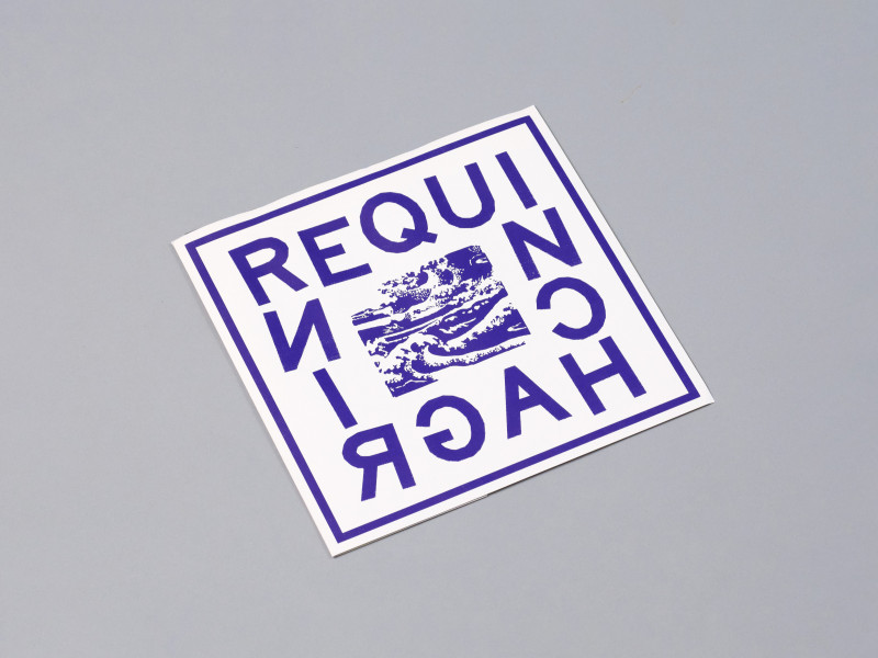 requin_chagrin_230927_bbb_septembre230019-1-1