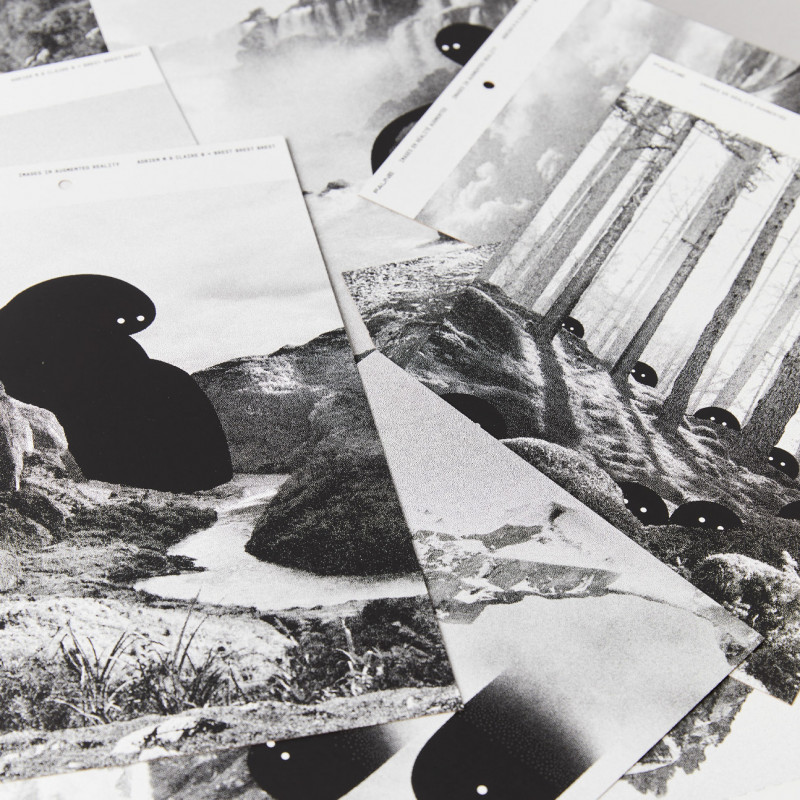 am-cbbrestbrestbrest-faune-3