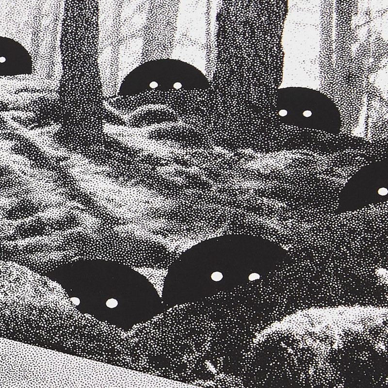 am-cbbrestbrestbrest-faune-2